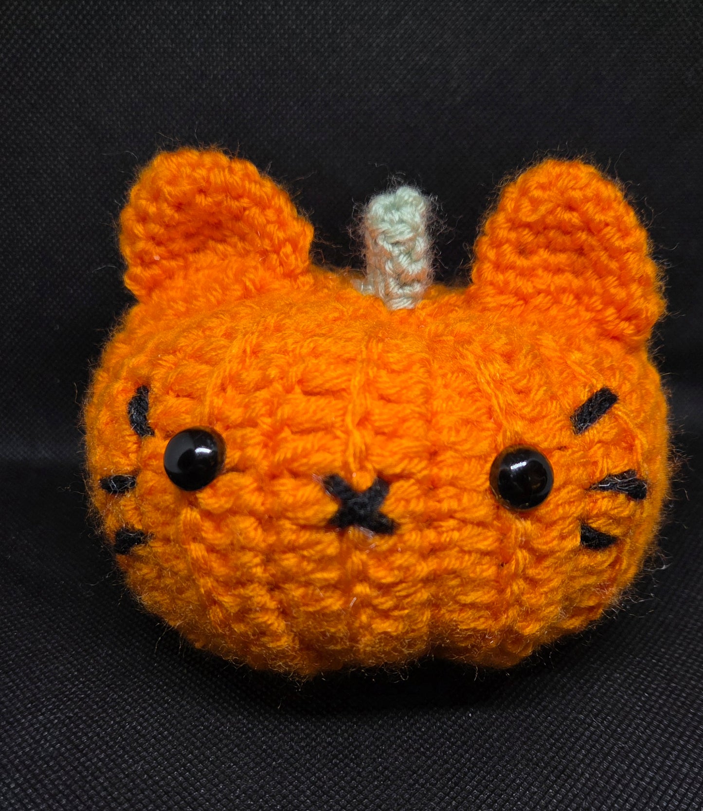Cat pumpkin